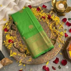 Kili pachai thirubuvanam silk saree