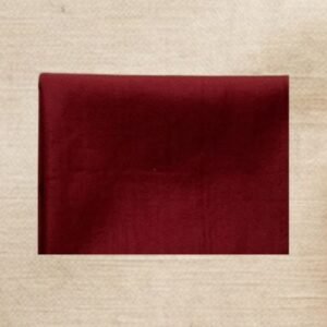 Maroon Blouse