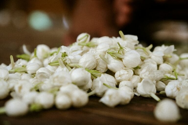 Fresh white jasmine flowers at a flower market