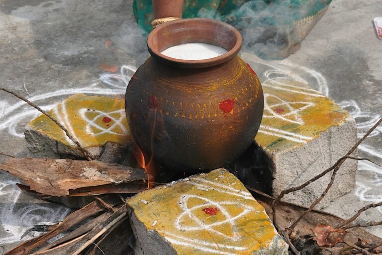 Clay pot used to cook Pongal