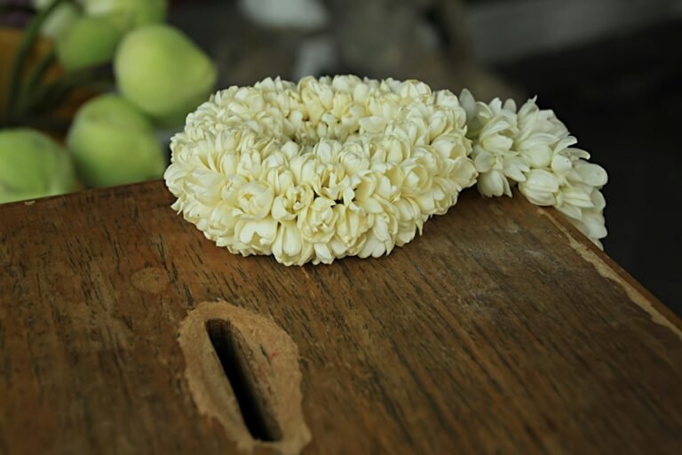 Fresh jasmine flowers of the kind strung into wedding garlands